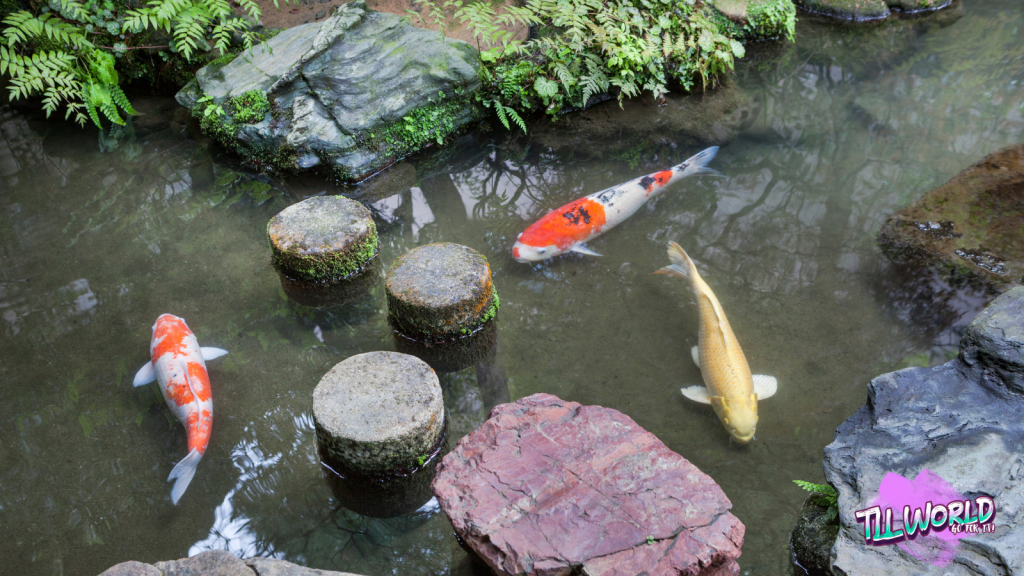 SOAS University’s Garden: A Tranquil Haven in the Heart of London