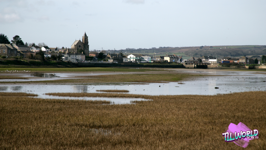 The Hayle Estuary: A Historical and Ecological Treasure in Cornwall